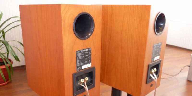 Акустическая система T+A TR 450 Birds-eye maple wood veneer — изображение 2