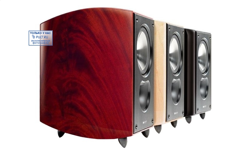 Акустическая система KEF XQ20 khaya manogany (пара) — изображение 3