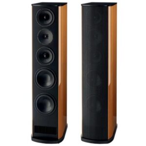 Напольная акустика T+A TCD 310 S Walnut dark matt
