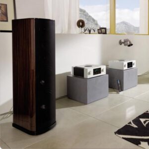 Напольная акустика T+A TCD 110 S Macassar ebony