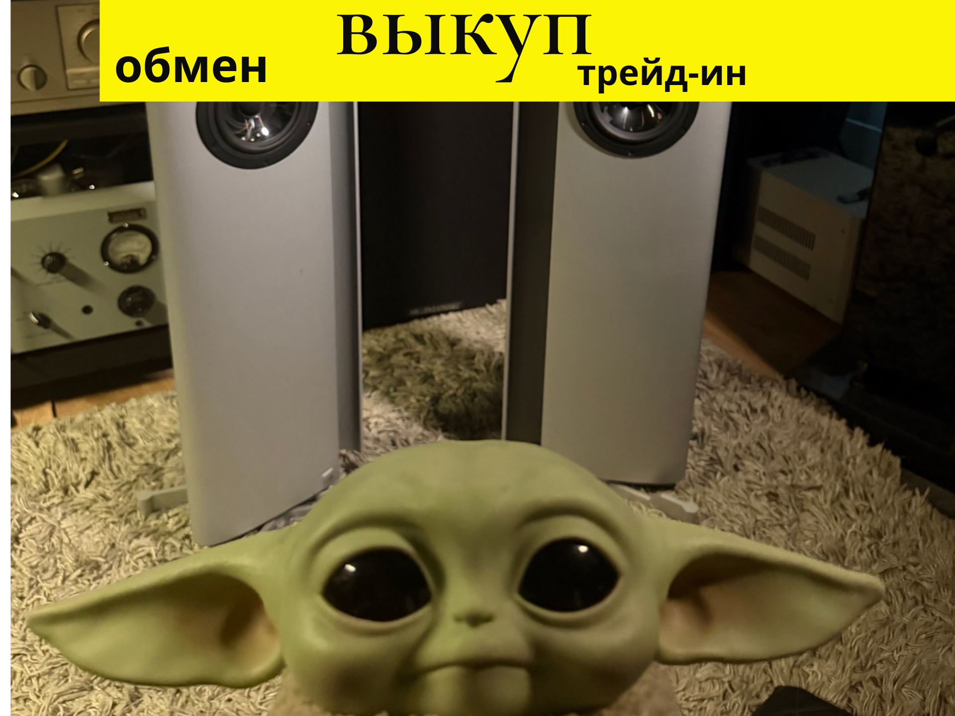 Vienna Acoustics Schönberg — напольная акустика High End — изображение 5