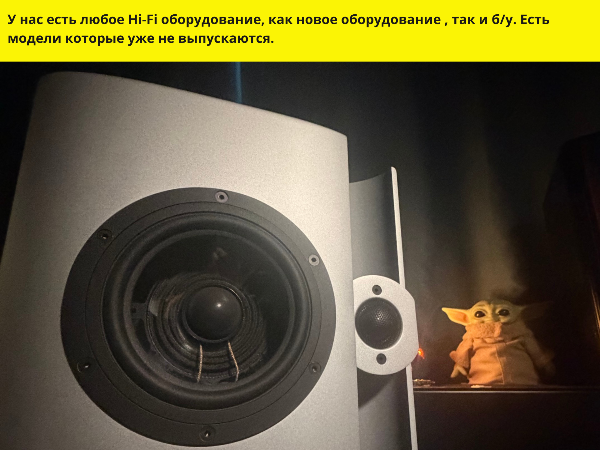 Vienna Acoustics Schönberg — напольная акустика High End — изображение 4