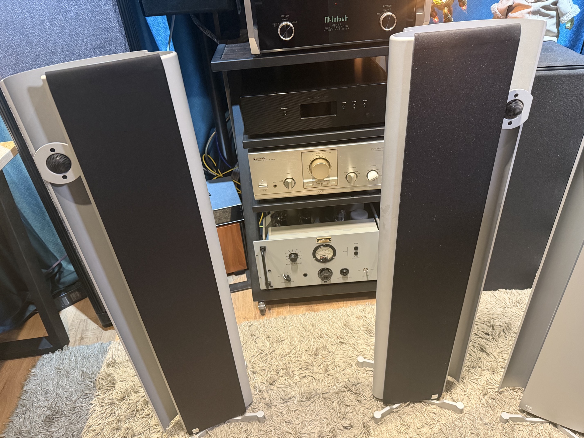 Vienna Acoustics Schönberg — напольная акустика High End — изображение 6