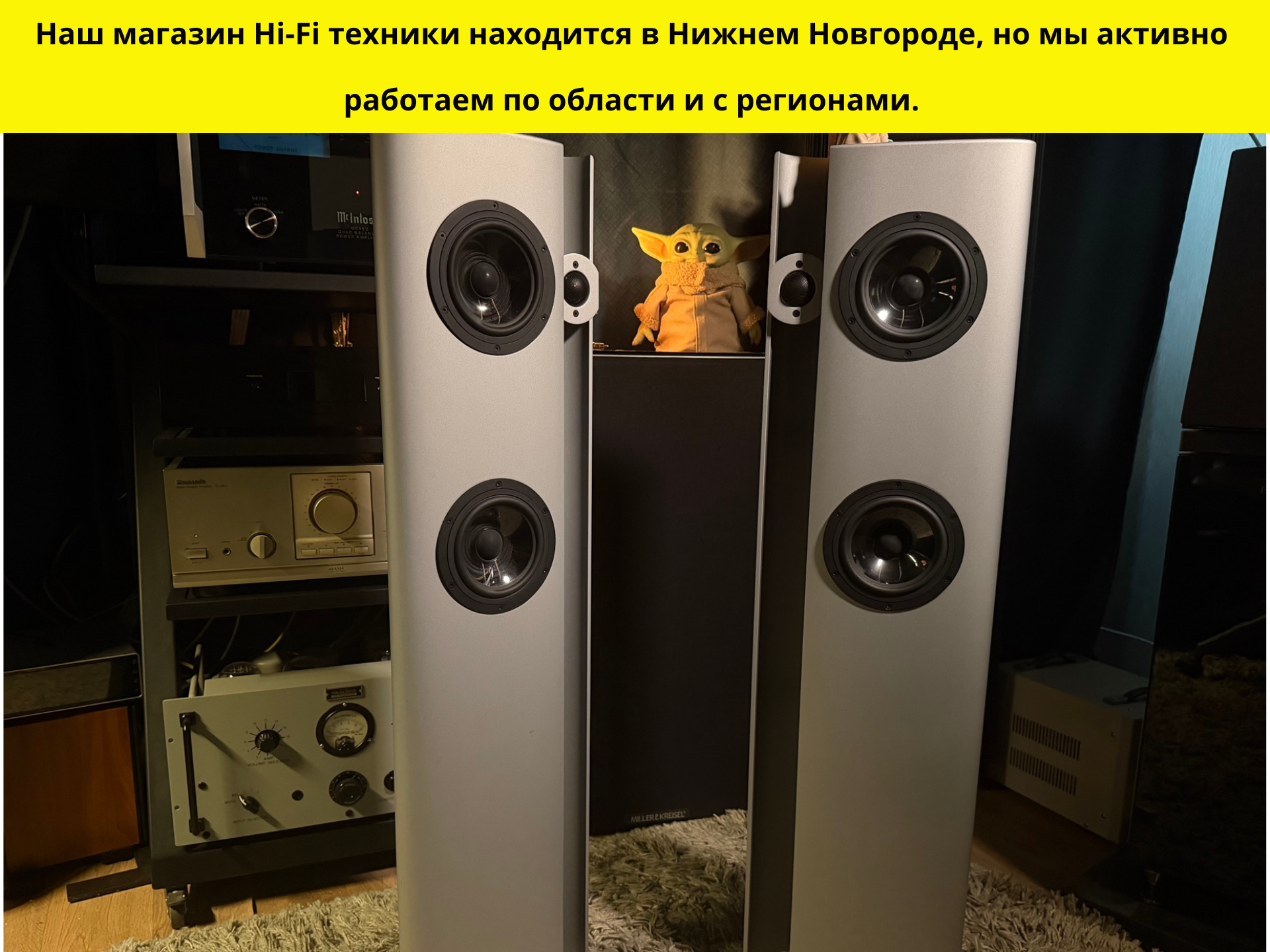 Vienna Acoustics Schönberg — напольная акустика High End — изображение 3