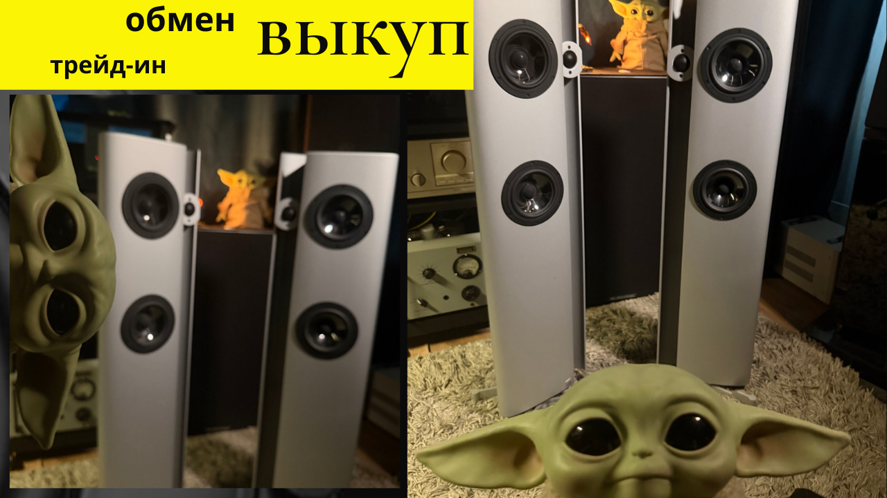 Vienna Acoustics Schönberg — напольная акустика High End — изображение 2