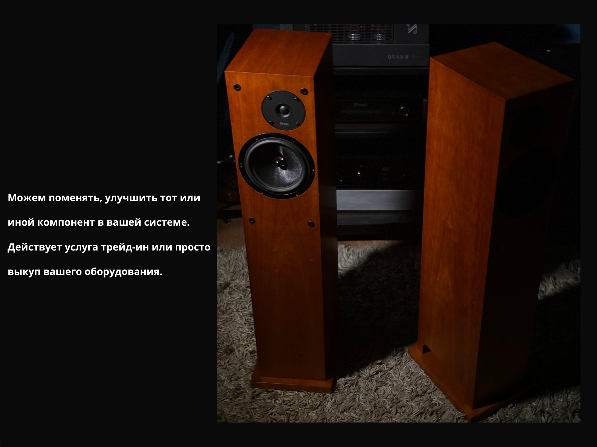 Напольная акустика ProAc Response D18 — изображение 3