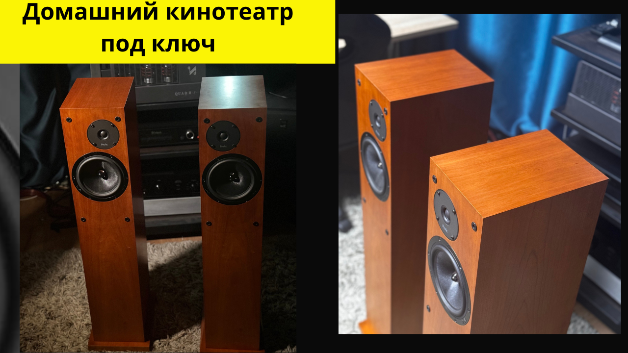Напольная акустика ProAc Response D18 — изображение 2
