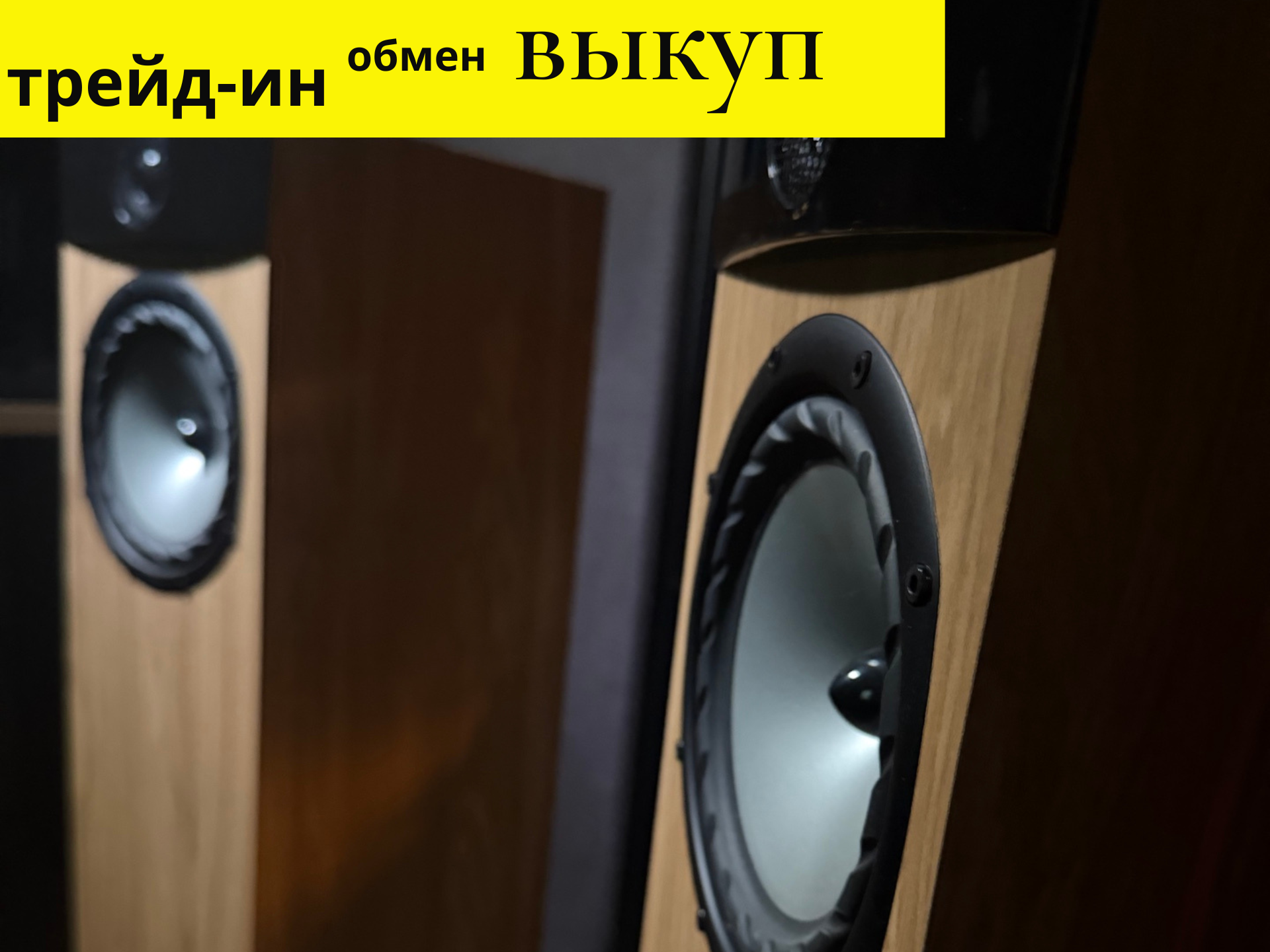 Напольная акустика Fyne Audio F302