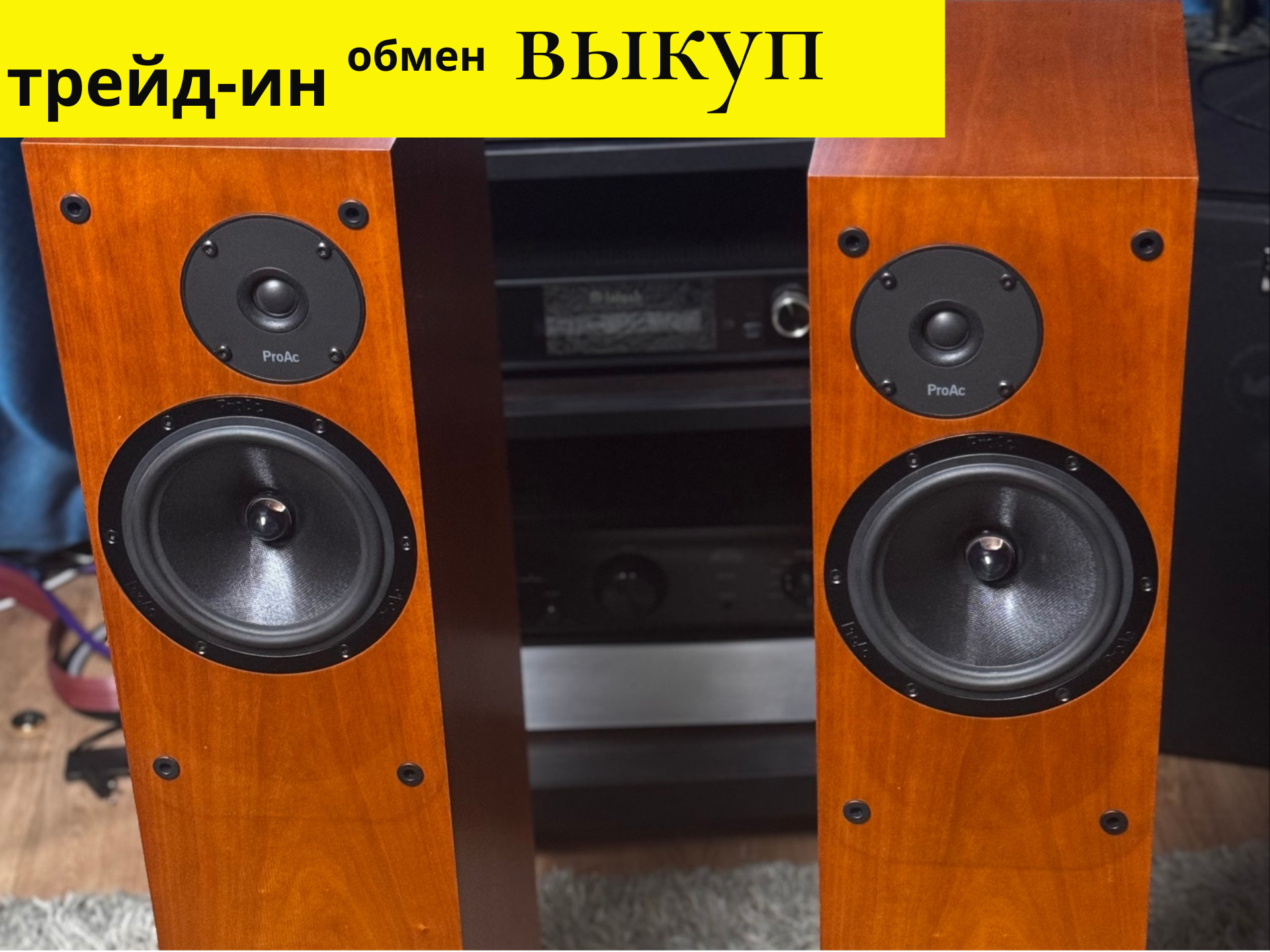 Напольная акустика ProAc Response D18
