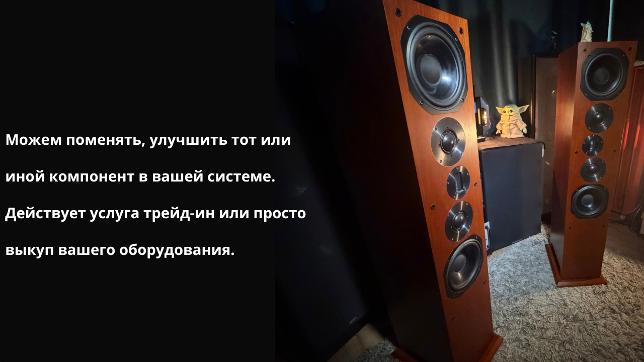 Напольная акустика ProAc Response D80 Ribbon Edition — изображение 7