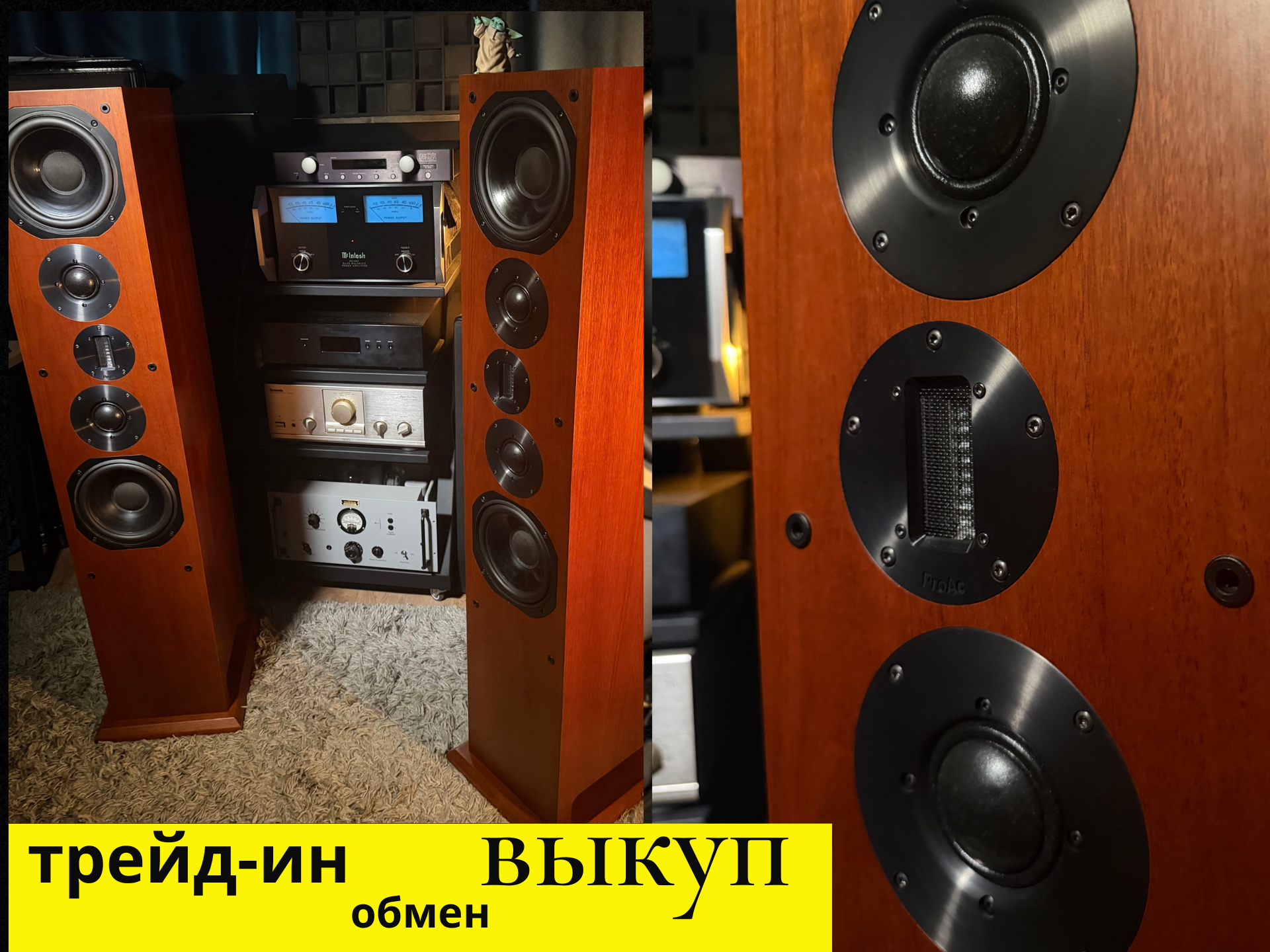 Напольная акустика ProAc Response D80 Ribbon Edition — изображение 6