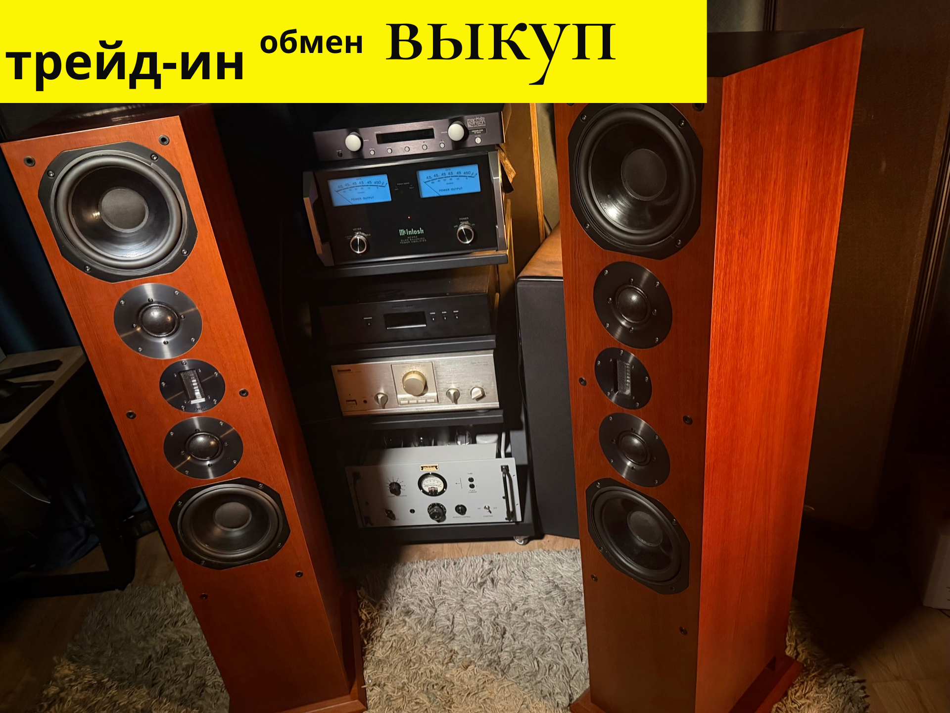 Напольная акустика ProAc Response D80 Ribbon Edition — изображение 2